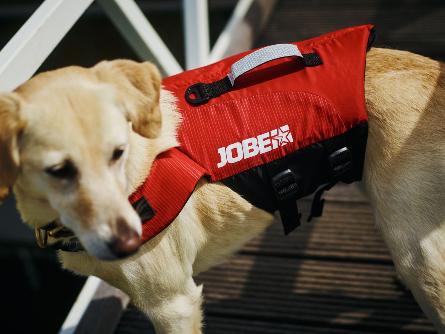 Prsluk za pse - Jobe Pet Vest Red XS-XL